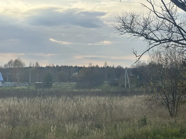 Аукцион в отношении земельного участка с КН 50:19:0060210:514