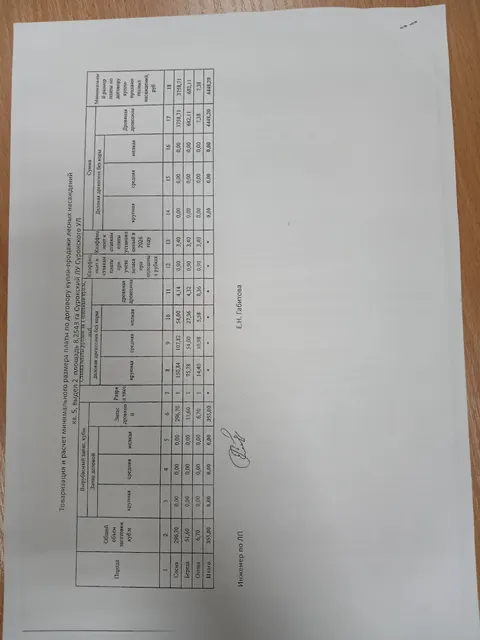 Древесина