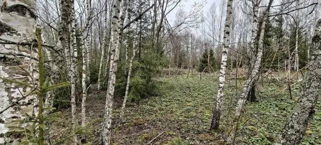 Аукцион в отношении земельного участка с КН 50:19:0050325:396