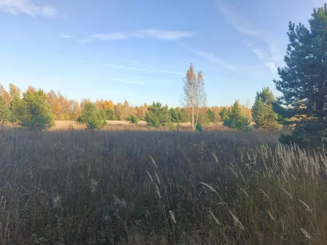 на право заключения договора аренды земельного участка с кадастровым номером 62:25:0010502:98, принадлежащего на праве собственности  муниципальному образованию – Ерахтурское сельское поселение Шиловского муниципального района Рязанской области, площадью 542 584 кв.м., из земель сельскохозяйственного назначения, с разрешенным использованием – для ведения сельскохозяйственного производства