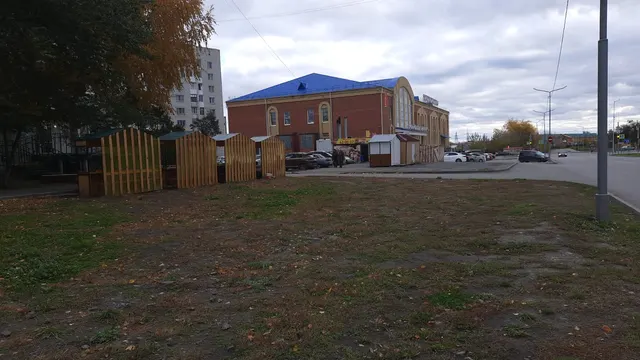 Елочный базар по адресу: г. Курган, 6 микрорайон, в районе здания № 26