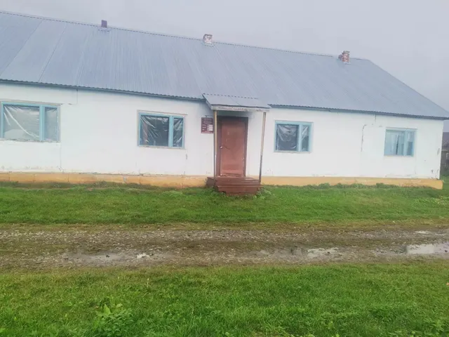Одноэтажное нежилое строение