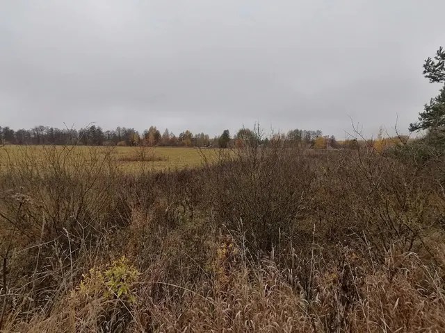 Аукцион в отношении земельного участка с КН 50:24:0080126:711