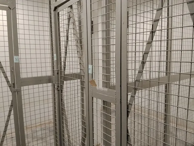 Продажа имущества, находящегося в собственности города Москвы, нежилое помещение по адресу: г. Москва, пр-д Чечёрский, д. 15, площадью 5,3 кв. м (подземный этаж № 0, помещение 2П), кадастровый номер: 77:06:0012012:3975