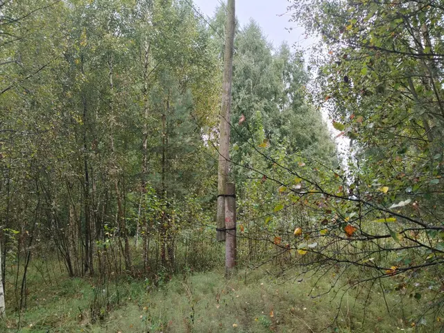 Предметом аукциона в электронной форме является право на заключение договора аренды земельного участка с кадастровым номером 52:07:0600032:522, площадью 1514+/-27 кв.м., местоположением: Российская Федерация, Нижегородская обл., р-н Сокольский, с/с Волжский, д. Рошвенская, ул. Центральная, д.4, вид разрешенного использования – для индивидуального жилищного строительства