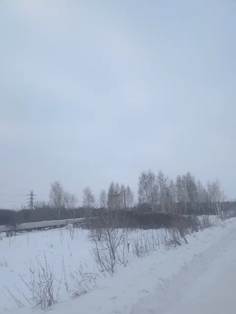 Земельный участок из состава земель населенных пунктов с кадастровым номером 55:36:030117:1024