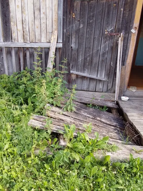 Помещение с  кадастровым номером  35:02:0306005:387 площадью  36,8 кв. м., назначение: нежилое, расположенное по адресу:   Вологодская область, Бабаевский район, деревня Санинская, дом 55, квартира 3