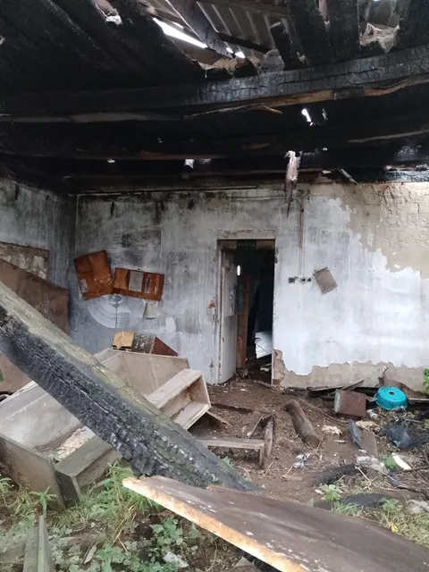 Здание на земельном участке площадью 2982 кв. м, по адресу: Курганская область, Петуховский район, с. Новое Ильинское, ул. Молодежная, д. 31