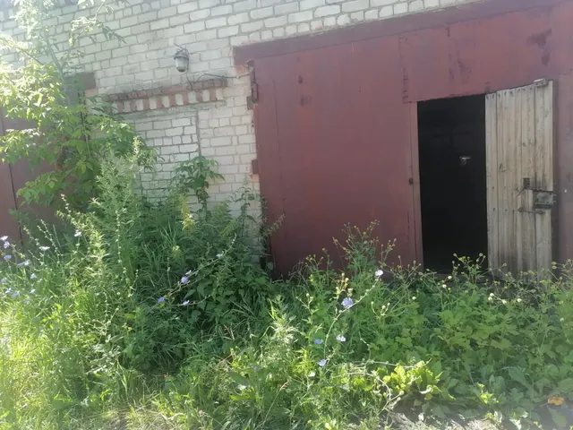нежилое, одноэтажное кирпичное здание гаража 1990 года постройки, общей площадью 56 кв.м, кадастровый номер 52:28:0130009:4823, расположенное по адресу: обл. Нижегородская, Воротынский р-н, р.п. Воротынец, ул. Космонавтов, д. 6д