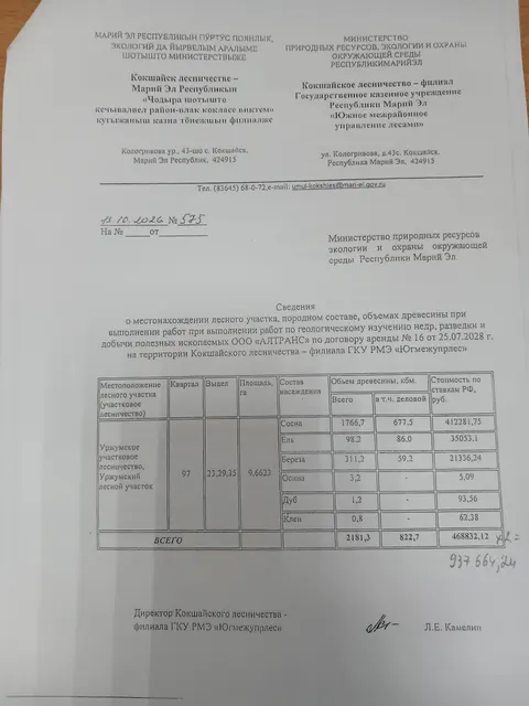 Древесина
