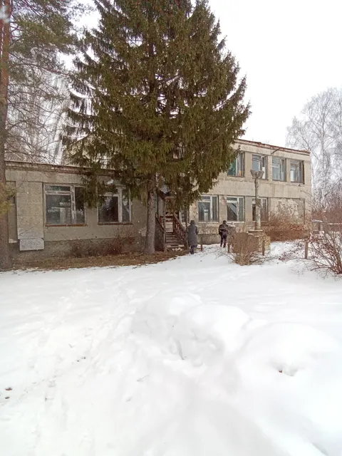 Продажа по минимально допустимой цене:Нежилое здание с земельным участком, включающий: - нежилое здание, 1976 года постройки, количество этажей: 2, в том числе подземных 0, назначение: нежилое, площадь 537,4 кв.м, кадастровый номер 52:31:0090005:450; - земельный участок, в границах которого расположено вышеуказанное нежилое здание, кадастровый номер 52:31:0090005:207, площадь 4129 кв.м, категория земель: земли населённых пунктов, вид разрешенного использования: под административным зданием