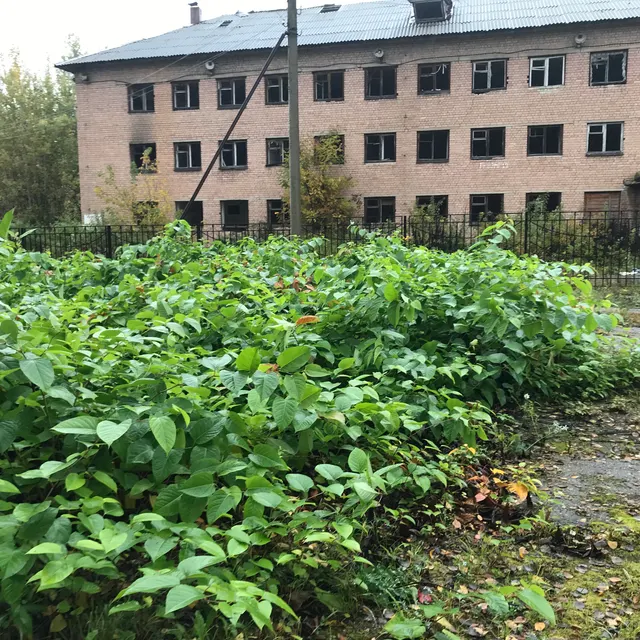 Нежилое здание, общей площадью 1720,8 кв.м. (кадастровый номер 76:19:010104:49), расположенное по адресу: Ярославская область, Ростовский р-н, г. Ростов, ул. Спартаковская, д. 142; Земельный участок, площадью 5805 кв.м (кадастровый номер: 76:19:010103:1844), расположенный по адресу: Ярославская область, Ростовский р-н, г. Ростов, ул. Спартаковская, д. 142 

