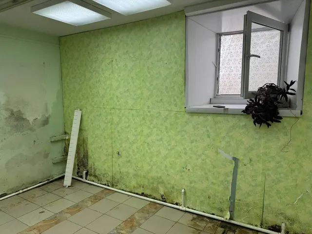 Нежилое помещение, площадью 56,8 кв.м., кадастровый номер 72:25:0104017:1001, расположенное по адресу: Тюменская область, г. Ишим, ул. Ленина, д. 60/1.
