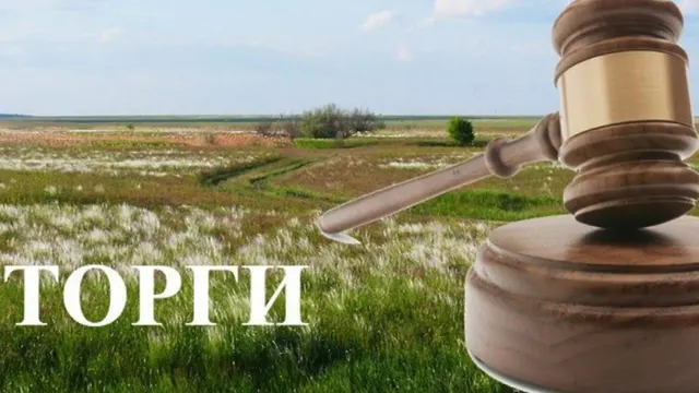 Земельный участок из земель населенных пунктов Ольшанского сельского поселения, с разрешенным использованием: для ведения личного подсобного хозяйства, имеющий местоположение: Ростовская  область,  Целинский  район,  х. Орджоникидзе, ул. Лесная, 26, общей площадью 10000 кв. м.,  с кадастровым номером 61:40:0020401:58, в границах, указанных в выписке из ЕГРН на земельный участок.