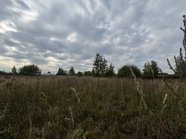 Аукцион в отношении земельного участка с КН: 50:29:0060208:1924