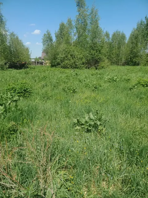 Аукцион в отношении земельного участка с КН 50:33:0010463:586