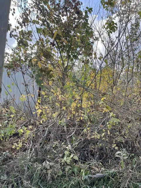 Продажа земельного участка