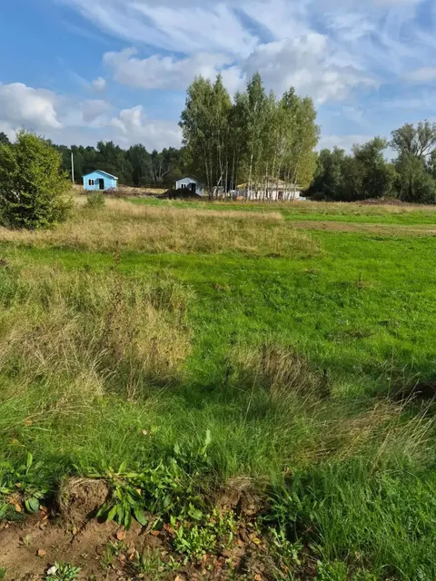 Аукцион в отношении земельного участка с КН 50:14:0030518:919