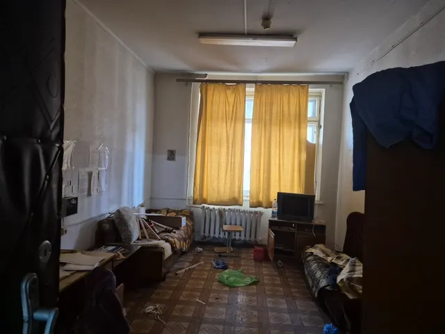Нежилое помещение общей площадью 733 кв.м, состоящие из двух нежилых помещений: площадью 282,1 кв.м, этаж № 1, кадастровый номер: 63:09:0301140:787, расположенное по адресу: Самарская область, г. Тольятти, ул. Новопромышленная, д. 17, помещение № 1006; и площадью 450,9 кв.м, этаж № 1, кадастровый номер: 63:09:0301140:2812, расположенное по адресу: Самарская область, г. Тольятти, ул. Новопромышленная, д. 17, помещение № 1007.