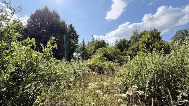 Аукцион в отношении земельного участка с КН 50:08:0080328:787