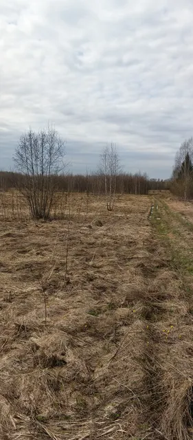 Публичные торги по продаже земельного участка с КН 50:12:0010406:171