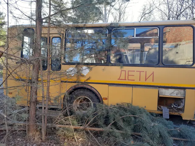 Автобус для перевозки детей ПАЗ 423470