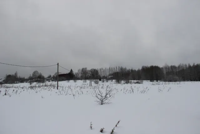 Аукцион в отношении земельного участка с КН 50:06:0100101:610