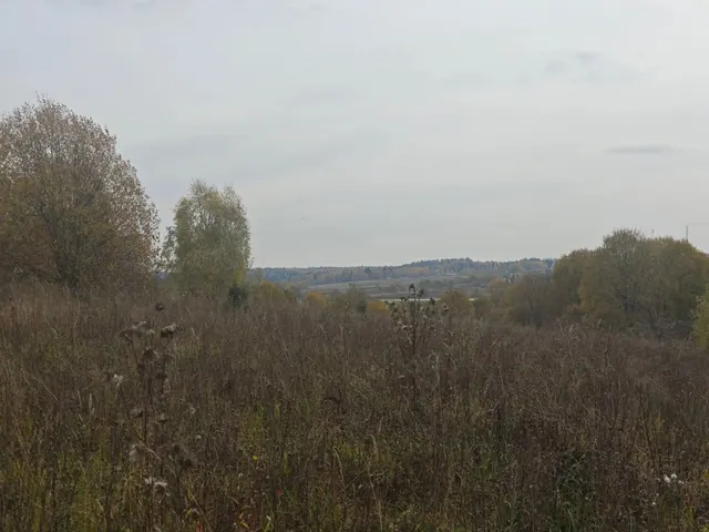 Аукцион в отношении земельного участка с КН 50:05:0040410:381