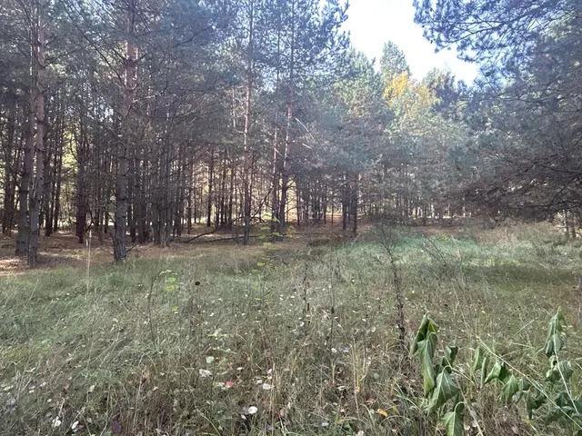 Аукцион в отношении земельного участка с КН 50:33:0010514:526