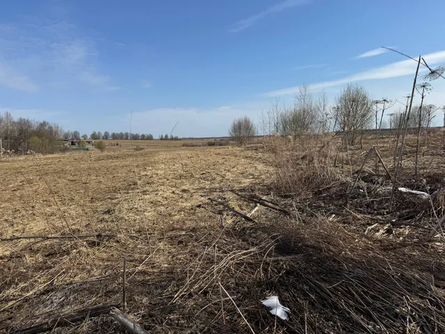 Аукцион в отношении земельного участка с КН 50:07:0020206:3905