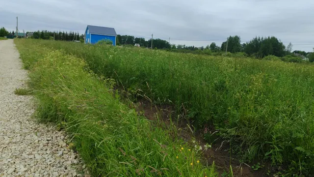 Земельный участок с кадастровым номером 47:26:1102002:2
