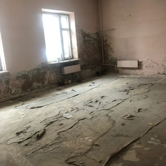 Помещение, назначение: нежилое, площадь: 1553,6 кв. метра,  этаж: цокольный, №01, №02, кадастровый номер: 74:25:0301414:1204, расположенное  по адресу: Челябинская область, г. Златоуст, ул. им. П.А. Румянцева, д. 19