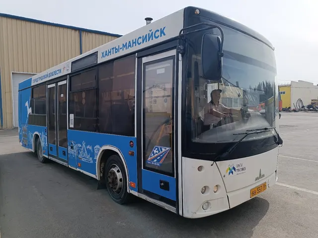 Автобус МАЗ 206086