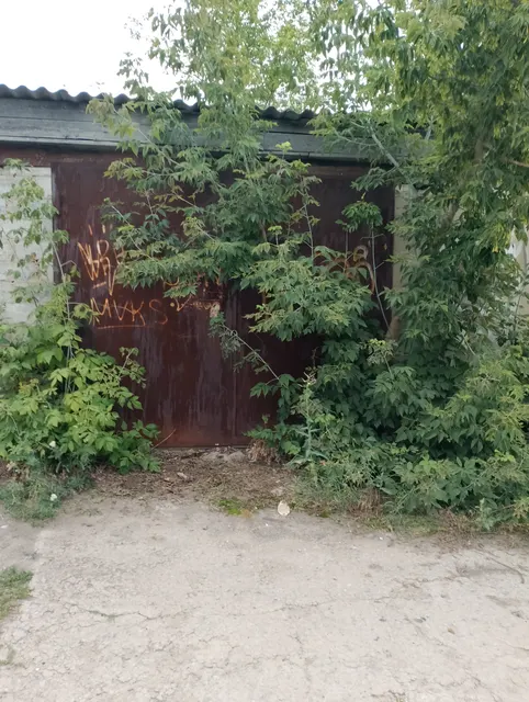 Здание гаража, находящегося по адресу: Воронежская область, Подгоренский район, пгт. Подгоренский, ул. Ленина, 25я, год ввода: 1983, кадастровый номер: 36:24:0100010:375, назначение: нежилое, площадь: 25 кв. м на земельном участке, расположенном по адресу: Воронежская область, Подгоренский район, ул. Ленина, 25я, кадастровый номер: 36:24:0100010:371, площадь: 34 кв. м.