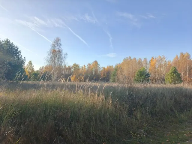 аукцион в электронной форме на право заключения договора аренды земельного участка с кадастровым номером 62:25:0010206:227, принадлежащего на праве собственности  муниципальному образованию – Ерахтурское сельское поселение Шиловского муниципального района Рязанской области, площадью 95 139 кв.м., из земель сельскохозяйственного назначения, с разрешенным использованием – для ведения сельскохозяйственного производства
