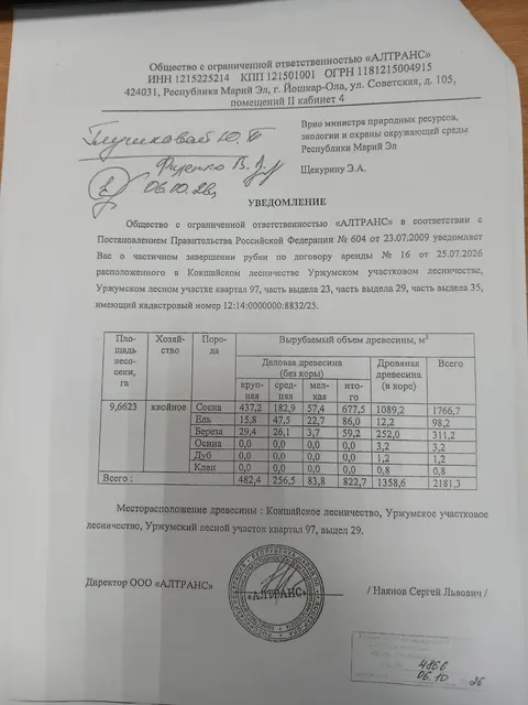 Древесина