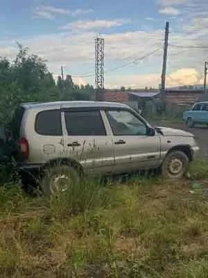 Автомобиль Шевроле-Нива, г/н Т494КМ124, 2004 г.в., VIN X9L21230040049095, двигатель № 0058642, цвет светло-серебристый металлик, комплектность и состояние  не проверялась данное  имущество обращено в доход государства, (Документы отсутствуют)Находится в Мотыгинском районе