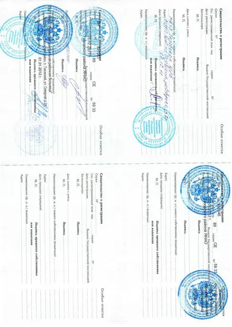 Снегоход "Буран" АЕ/0013-9026