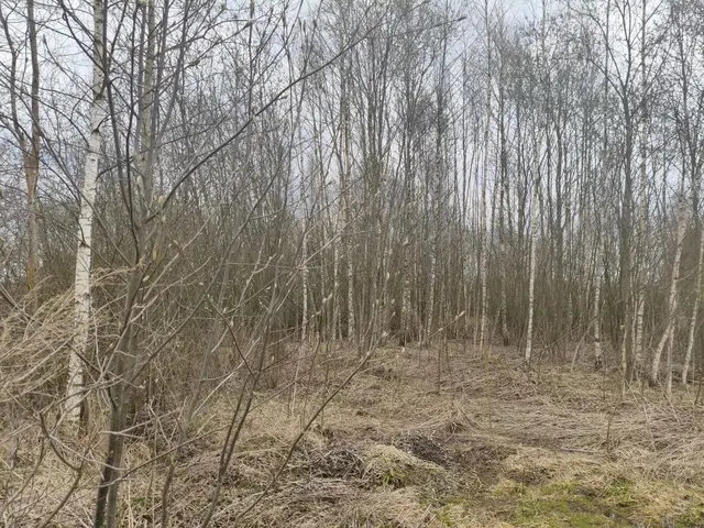 Аукцион в отношении земельного участка с КН 50:25:0000000:30962