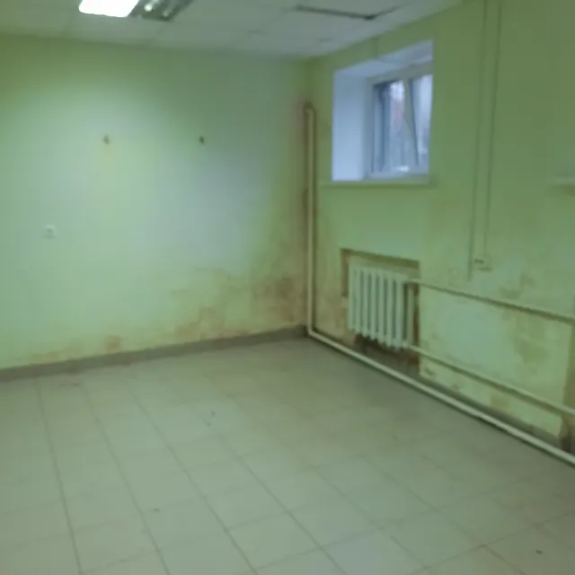 Нежилое помещение № 1, общей площадью 103,7 кв. м, расположенное в подвале жилого пятиэтажного кирпичного дома находящиеся по адресу: г. Чебоксары,                       ул. Максимова, 9.