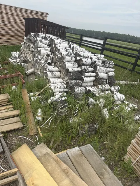 Фрагменты стволов деревьев породы береза в виде чурок-16,53м3. Хранился на открытой площадке. Срублен предположительно  в марте 2024года. Находится в  Емельяновском районе МО Шуваевский сельсовет, На данный момент состояние ухудшилось (1750/24)