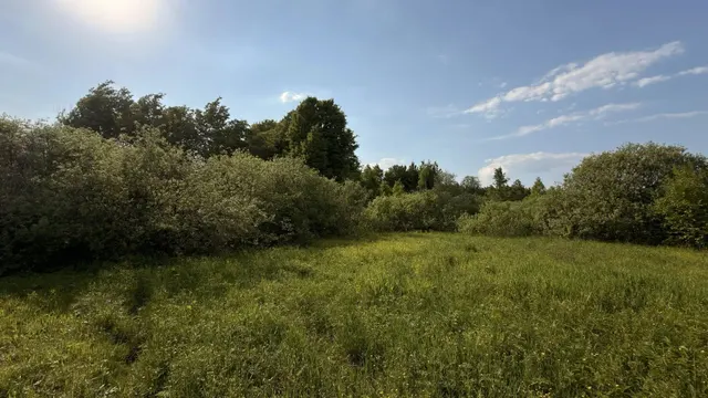 Аукцион в отношении земельного участка с КН 50:08:0080328:788