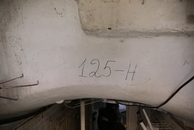 Часть помещения 102-Н, 103-Н, 104-Н, 105-Н, 123-Н, 124-Н, 125-Н, 129-Н, 130-Н, 131-Н, 132-Н, 146-Н, 147-Н, 24-Н, 25-Н, 26-Н, 78-Н, 92-Н (ч.п.125-Н), площадью 42,3 кв.м, закрепленного на праве оперативного управления за Санкт-Петербургским государственным бюджетным учреждением «Городское управление инвентаризации и оценки недвижимого и движимого имущества», расположенного по адресу: Санкт-Петербург, ул. Садовая, д. 28-30, корп. 1