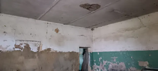 недвижимое имущество: здание, земельный участок