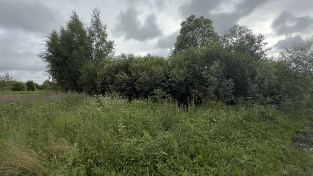 Аукцион в отношении земельного участка с КН 50:08:0090326:513