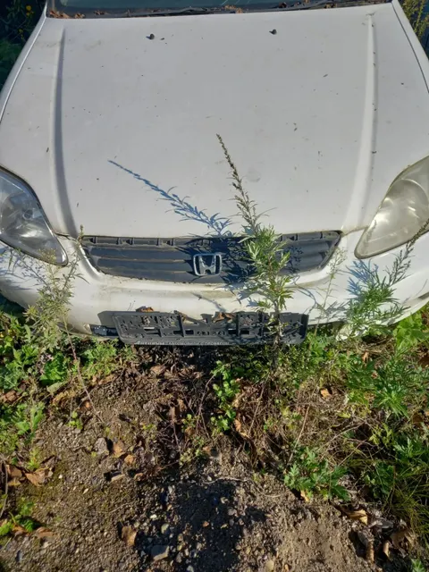 Автомобиль HONDA CIVIC FERIO, г/н отсутствует, 1998 г.в., кузов № ЕК33301518, двигатель № 3402257, цвет белый, комплектность и состояние  не проверялась данное  имущество обращено в доход государства, (Документы отсутствуют)Находится в Назаровском районе