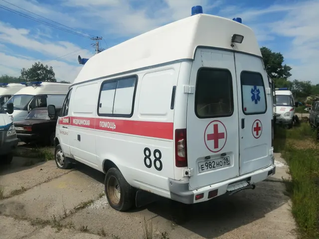 Автомобиль скорой медицинской помощи 384065, (VIN) Z8X384065D0001719, год выпуска 2013