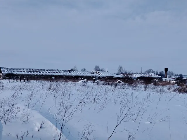 Здание телятника, назначение: нежилое, площадь 1300,4 кв.м., этажей 1, год постройки 1976, кадастровый номер: 59:14:0831001:286, расположенное по адресу: Пермский край, Березовский район, с. Таз Русский