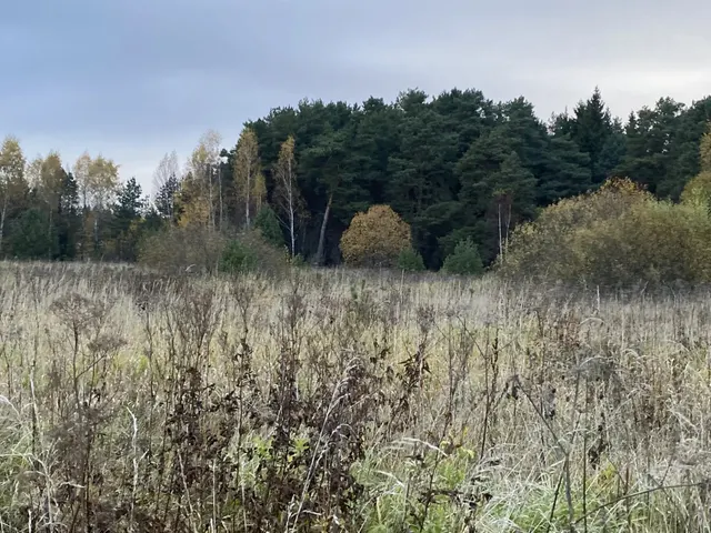 Аукцион в отношении земельного участка с КН 50:19:0060124:384