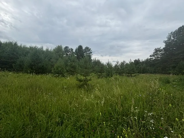 Аукцион в отношении земельного участка с КН 50:29:0040704:352